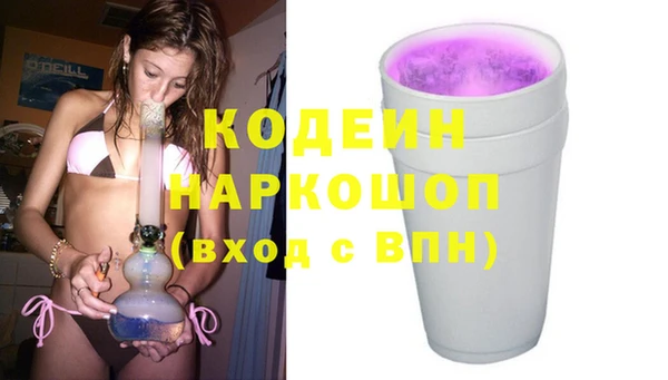 винт Абаза