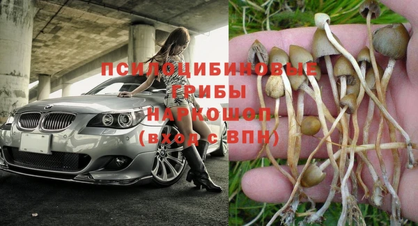 MESCALINE Алзамай